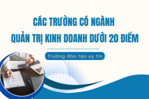 Các trường có ngành Quản trị Kinh doanh dưới 20 điểm