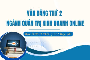 Văn bằng thứ 2 quản trị Kinh doanh online