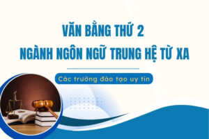 Văn bằng thứ 2 ngôn ngữ Trung online