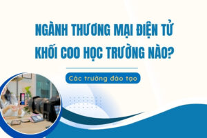 Thương mại điện tử khối C00