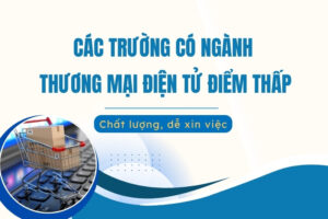 Các trường có ngành Thương mại Điện tử điểm thấp