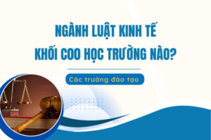ngành luật kinh tế khối c00