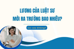 Lương của luật sư mới ra trường