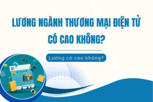 Lương của ngành Thương mại điện tử