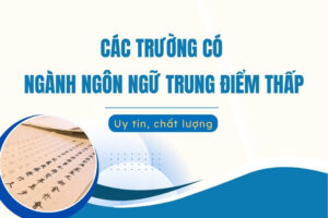 Các trường có ngành ngôn ngữ trung điểm thấp