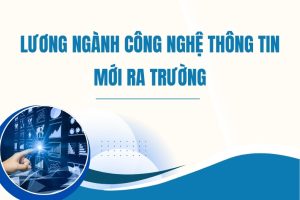 Lương Công nghệ thông tin mới ra trường